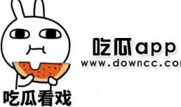 吃瓜爆料黑料免费,吃瓜爆料，黑料大揭秘！